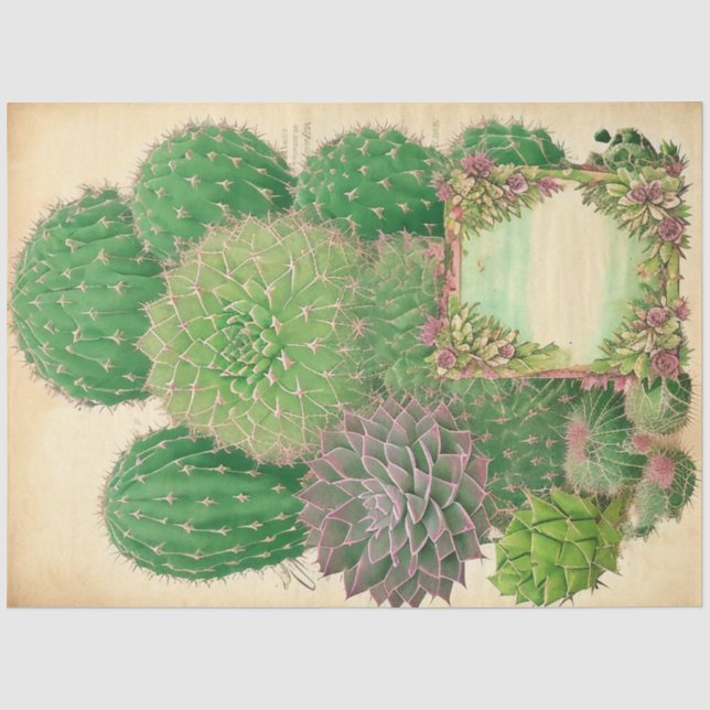 Papier Mousseline Cactus Plante Ephemera Collage Art No7 (Recto)