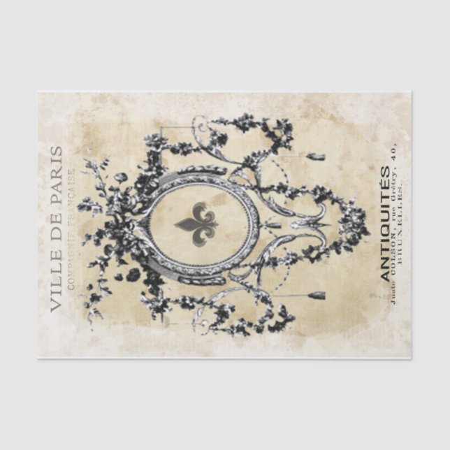 Papier Mousseline Cadre élégant (Recto)