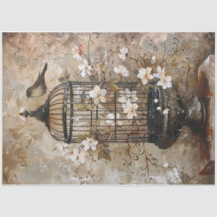 Papier Mousseline cage aux oiseaux du Vieux Monde