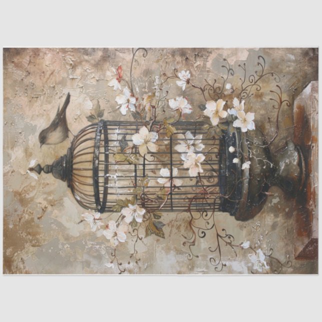 Papier Mousseline cage aux oiseaux du Vieux Monde (Recto)