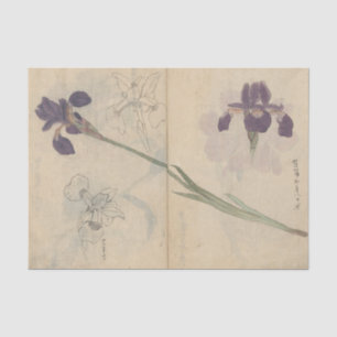 Papier Mousseline Cahier de croquis Pl. 085 par Ariyoshi Kondo