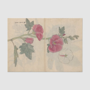 Papier Mousseline Cahier de croquis Pl. 096 par Ariyoshi Kondo