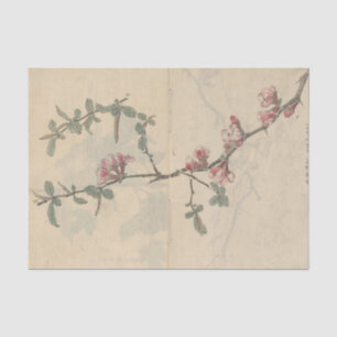 Papier Mousseline Cahier de croquis Pl. 096 par Ariyoshi Kondo