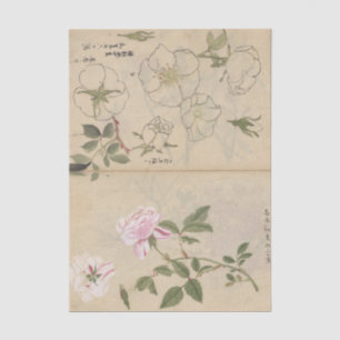 Papier Mousseline Cahier de croquis Pl. 107 par Ariyoshi Kondo
