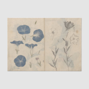 Papier Mousseline Cahier de croquis Pl. 112 par Ariyoshi Kondo