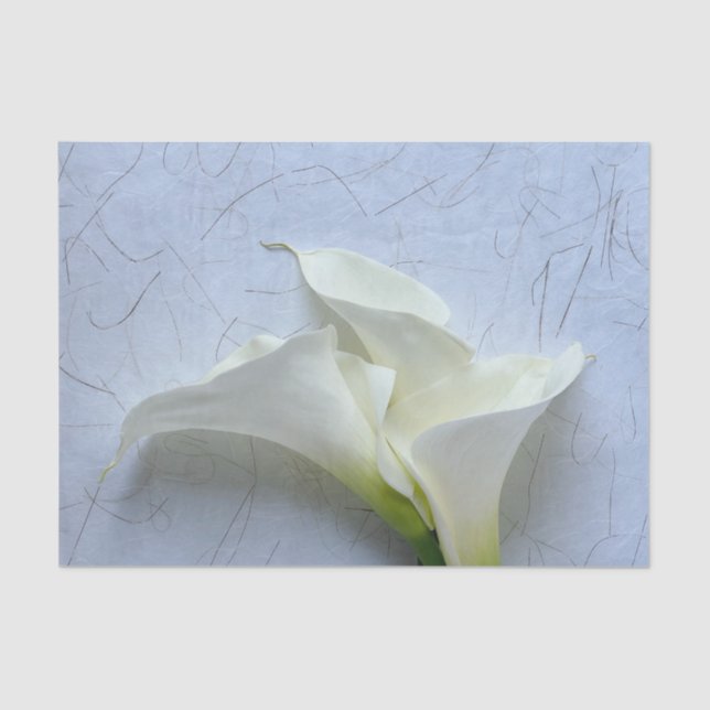 Papier Mousseline Calla lilies on decorative background (Recto)