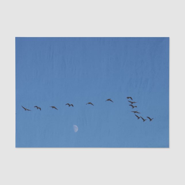 Papier Mousseline Canadian geese (Recto)