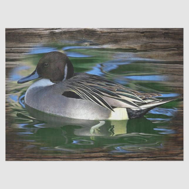 Papier Mousseline Canard Sur Le Lac (Recto)