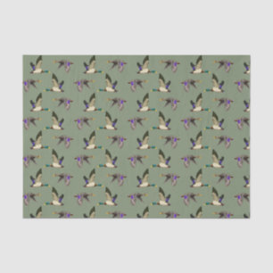 Papier Mousseline Canards colverts