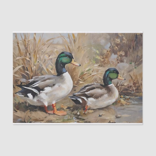 Papier Mousseline Canards colverts aquarelle découpage  (Recto)