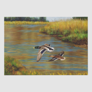 Papier Mousseline Canards colverts volants