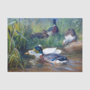 Papier Mousseline Canards dans l'étang par Carl Jutz