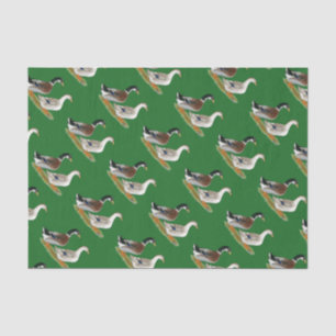Papier Mousseline Canards : Joyeuse Argent
