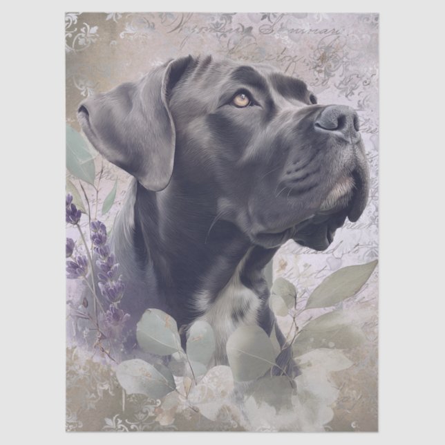Papier Mousseline Cane Corso Floral Dog (Recto)