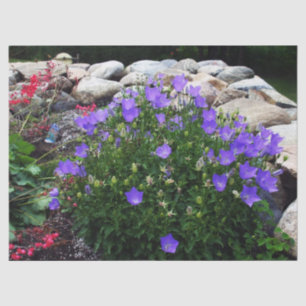 Papier Mousseline Canterbury Bells