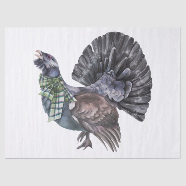 Papier Mousseline Capercaillie Tartan Scalf Highland (Recto)