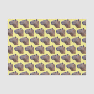 Papier Mousseline Capybara