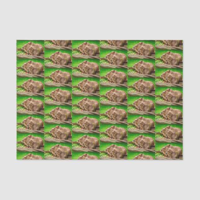 Papier Mousseline Capybara Trio (Recto)