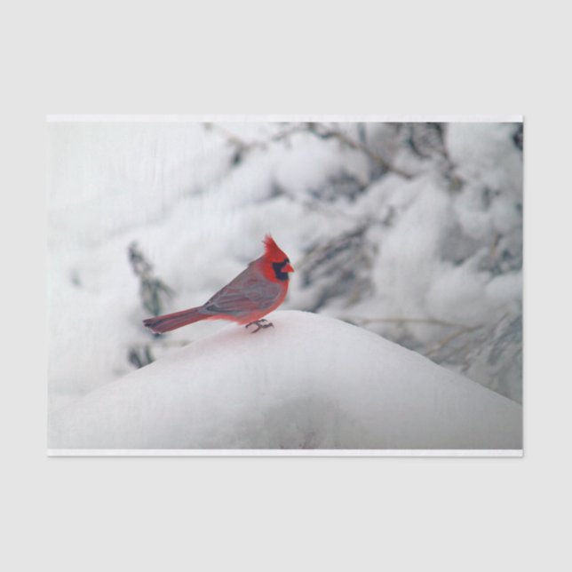 Papier Mousseline Cardinal 6239 Papier Tissu (Recto)