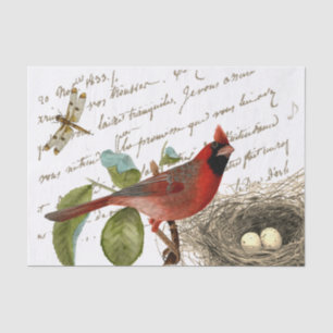 Papier Mousseline Cardinal Bird Nest Dragonfly French Script Music