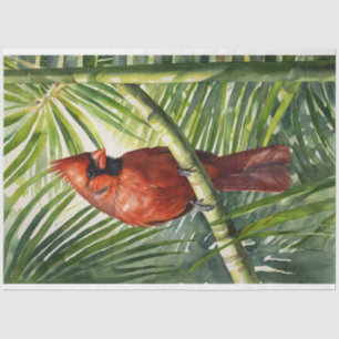 Papier Mousseline Cardinal d'aquarelle dans une décomposition de pal