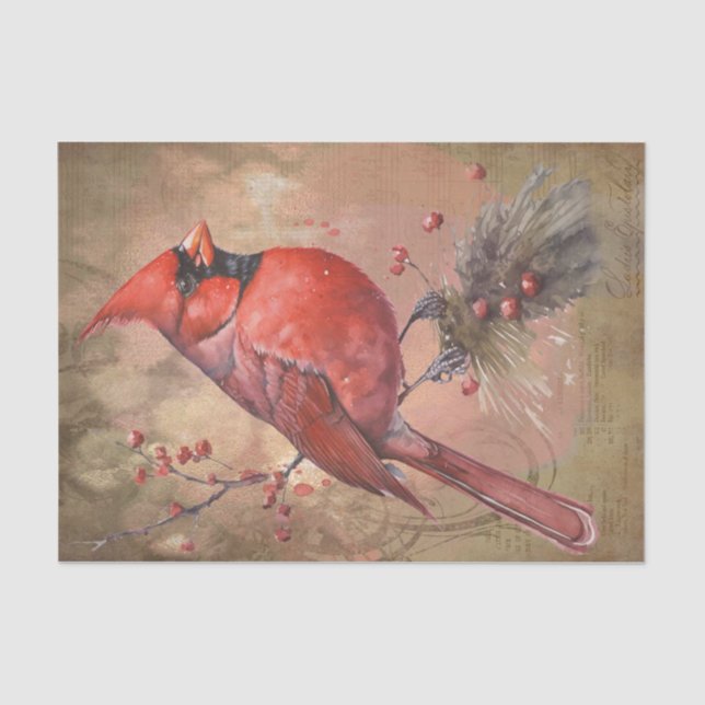 Papier Mousseline Cardinal d'hiver (Recto)