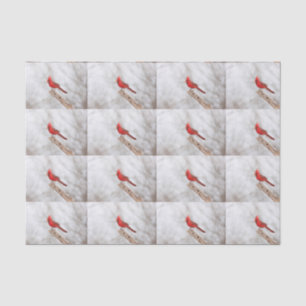 Papier Mousseline Cardinal du Nord sur une branche