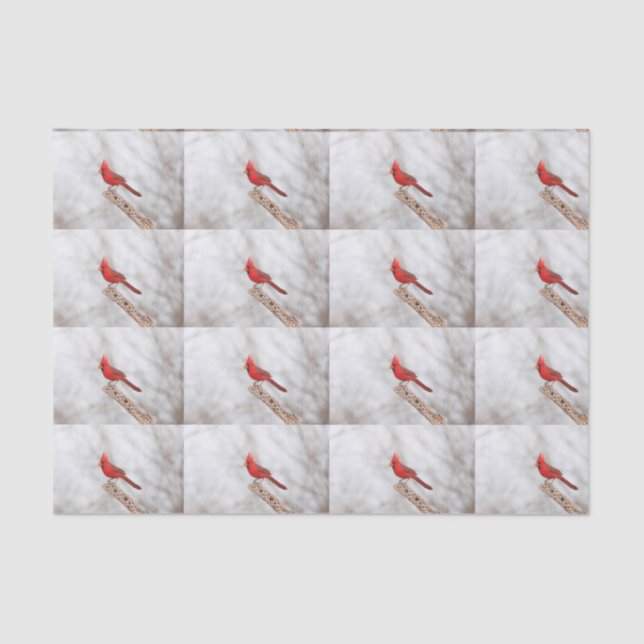 Papier Mousseline Cardinal du Nord sur une branche (Recto)