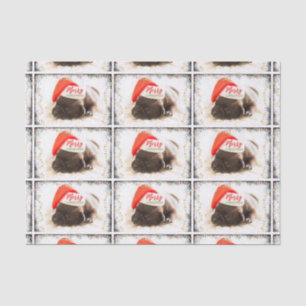 Papier Mousseline Carlin de Noël à Santa Hat avec lumières de Noël