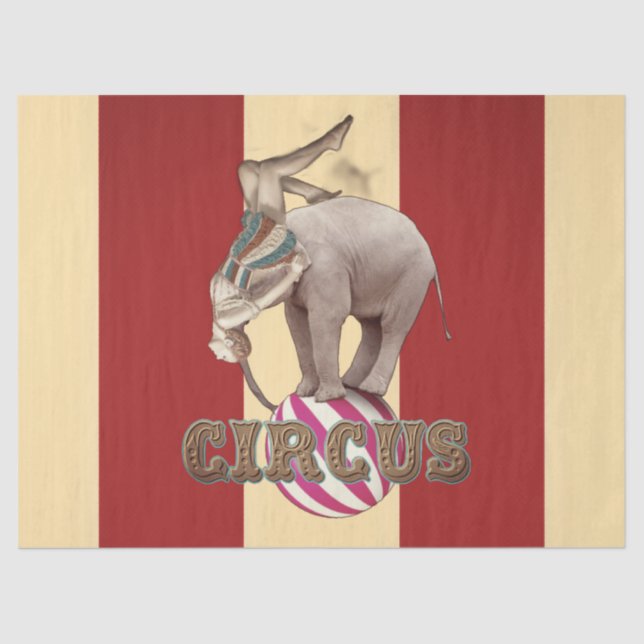 Papier Mousseline Carnaval du cirque  (Recto)