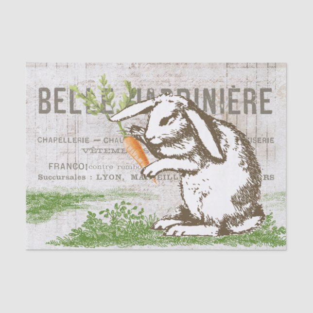 Papier Mousseline Carotte Lapin Français Pâques Découpage (Recto)