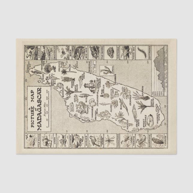 Papier Mousseline Carte Antique Madagascar Île Kraft (Recto)