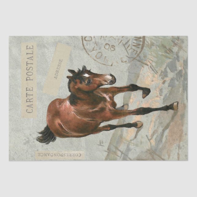 Papier Mousseline Carte Brown Horse Postale Découpage Vert Français (Recto)