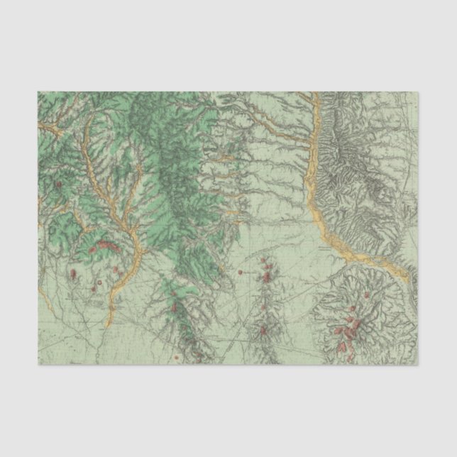 Papier Mousseline Carte de classification de terre du Nouveau (Recto)