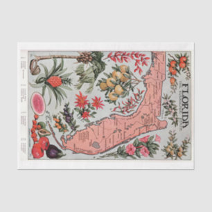 Papier Mousseline Carte de Floride vintage