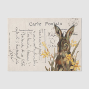 Papier Mousseline Carte de Pâques vintage lapin français jonquille