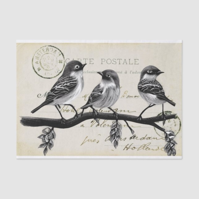 Papier Mousseline Carte des oiseaux postaux sur une succursale (Cart (Recto)