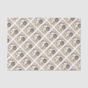 Papier Mousseline Carte du boussole des tortues marines