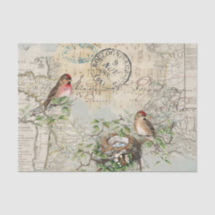 Papier Mousseline Carte du nid d'oiseaux Musique Postmark français A