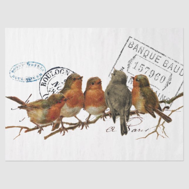 Papier Mousseline Carte Postale Bird Robins européens Français Vinta (Recto)