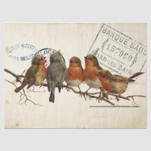 Papier Mousseline Carte Postale Bird Set 3 de 4 Robins européens Fli