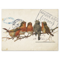 Carte Postale Bird Set 3 of 4 (European Robins)