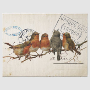Papier Mousseline Carte Postale Bird Set 3 of 4 (European Robins)