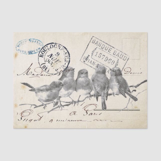 Papier Mousseline Carte Postale French Songbirds sur une succursale (Recto)