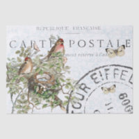 Carte postale Papillon de nid d'oiseau Postale ble