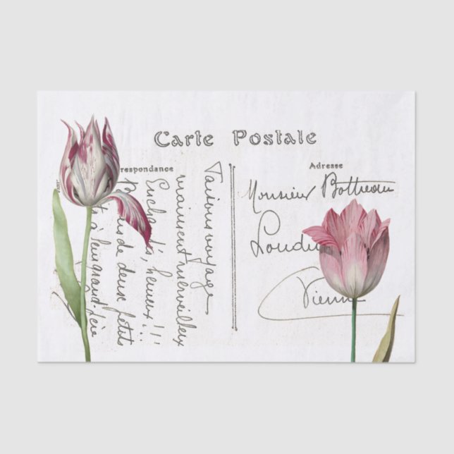 Papier Mousseline Carte postale Pink Tulip - Découpage Fleur (Recto)