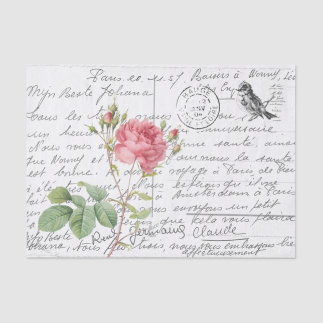 Papier Mousseline Carte postale Rose d'oiseaux Pink (Recto)
