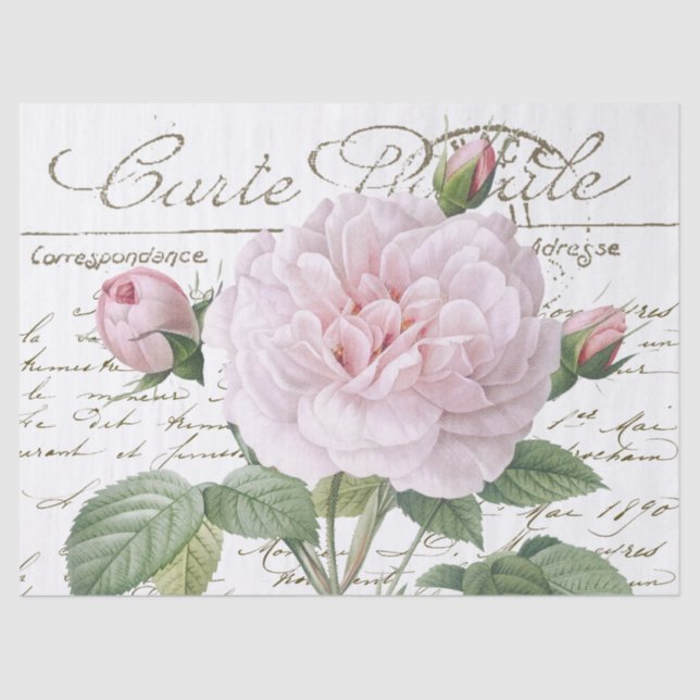 Papier Mousseline Carte Postale Rose Redouté Rose Gold Script frança (Recto)