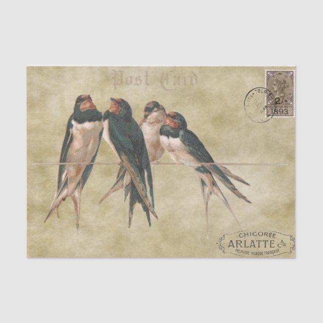 Papier Mousseline Carte postale Swallow (Recto)