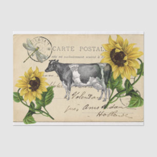 Papier Mousseline Carte postale Tissu vintage Cow Yellow Sunflower P